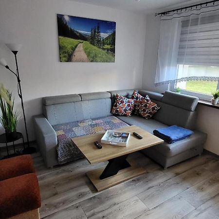 Apartament Leon Walbrzych Bagian luar foto